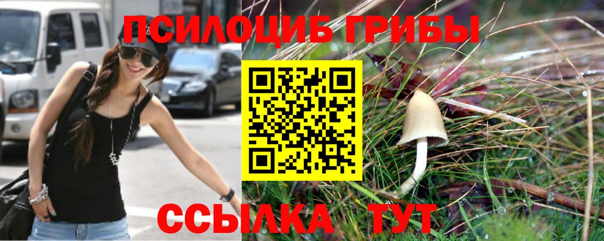 Галлюциногенные грибы Psilocybe Нижневартовск